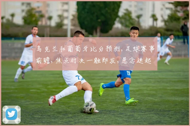 乌克兰和葡萄牙比分预测,足球赛事前瞻,焦点对决一触即发,悬念迭起