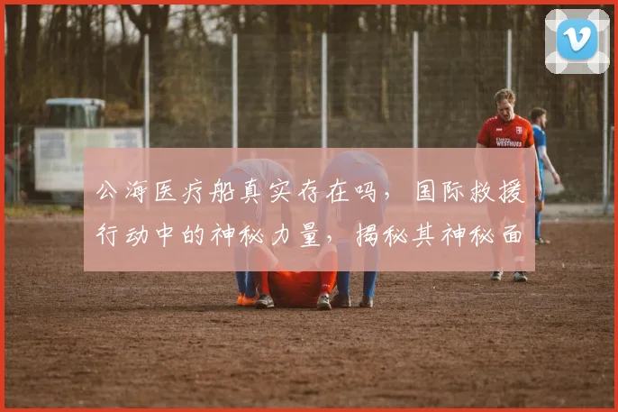 公海医疗船真实存在吗，国际救援行动中的神秘力量，揭秘其神秘面纱，三大亮点引人关注