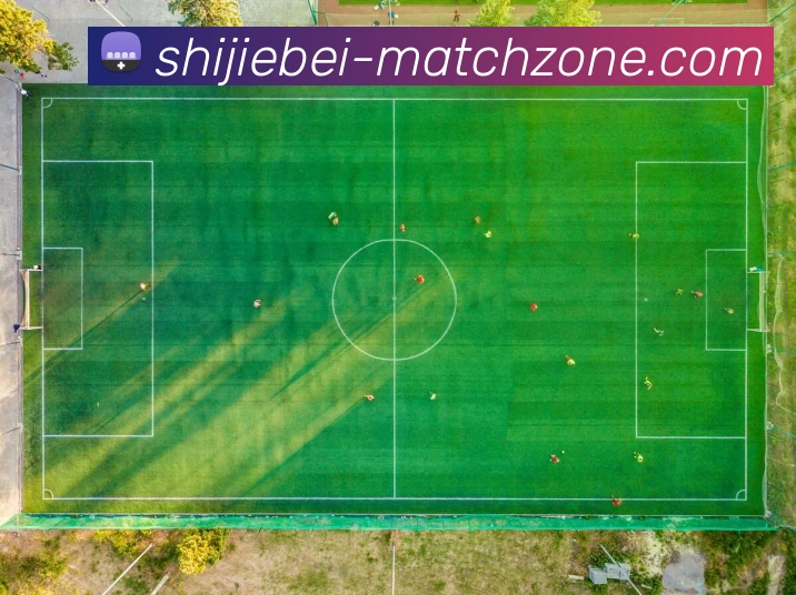 世界杯分析平台生态图